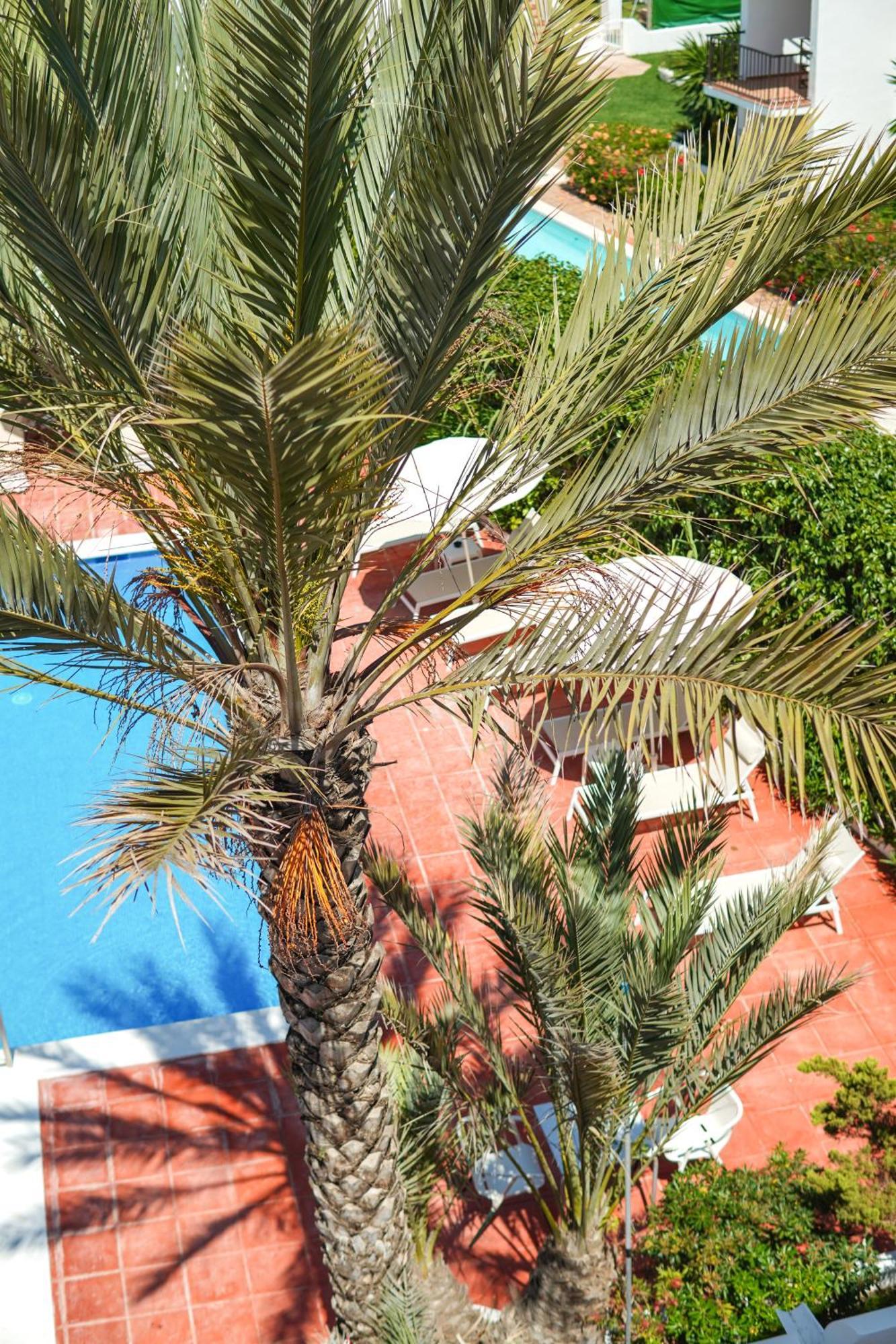 Typic Sandic Apartments Es Cana 外观 照片